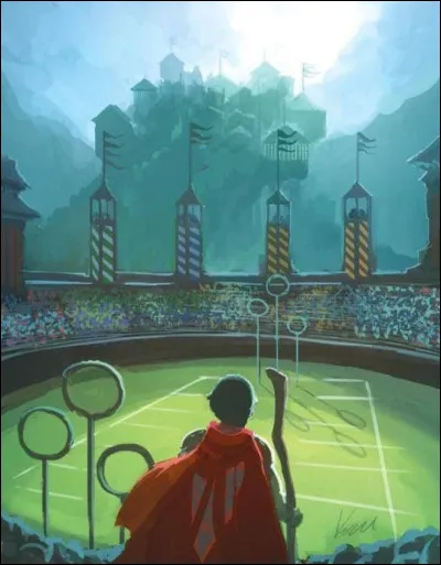 What position does Harry play on the Gryffindor Quidditch team?