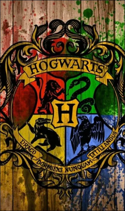 Which house did Albus Dumbledore belong to?