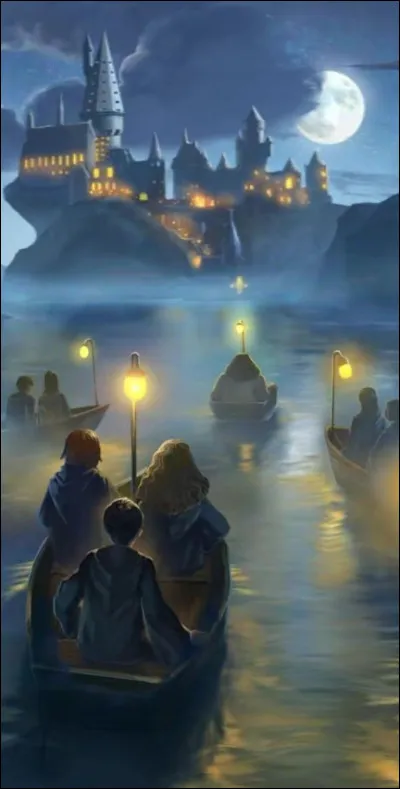 What language can Harry speak other than English?