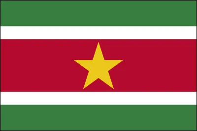 Which country has this flag?