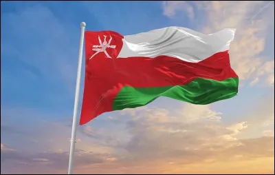 Which country has this flag?