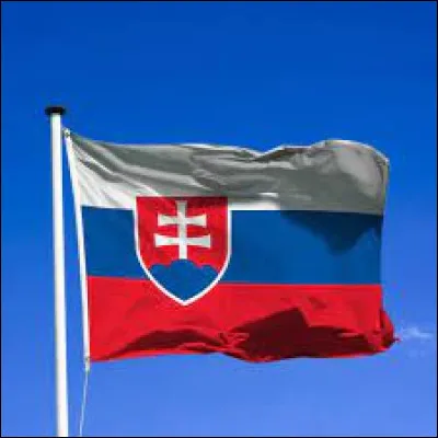 Which country does this flag belong to?