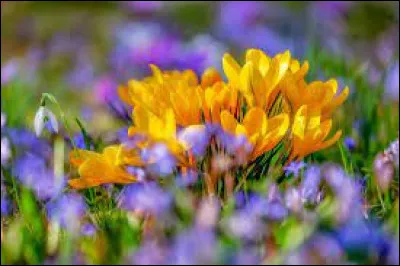 Does March contain more or fewer days than April?