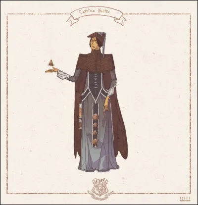 What subject does Professor Septima Vector teach the students at Hogwarts?