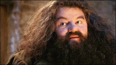 Which subject did Hagrid have the chance to teach?