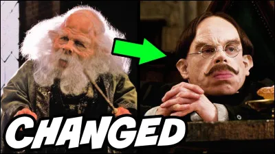 What does Professor Flitwick teach?