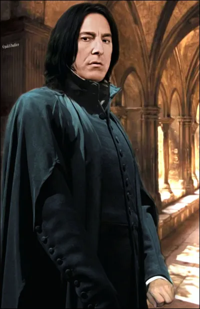 What subject did Severus Snape teach?