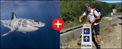 What is the correct definition of this compound word?