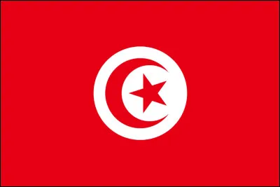 Which country has this flag?