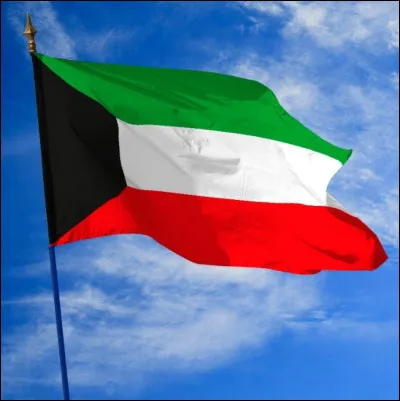 Which country has this flag?