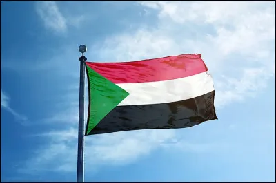 Which of the following countries has this flag?