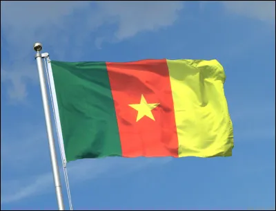 Which country does this flag belong to?