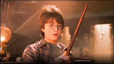 What wood is Harry's wand made of?