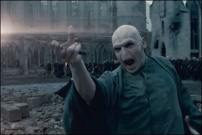 Did Harry manage to kill him?