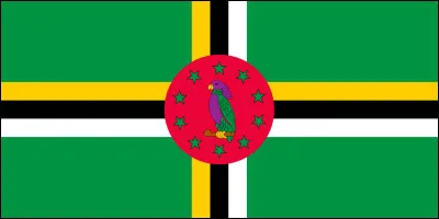 Which country has this flag?