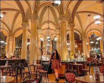 Which famous Vienna cafe was a meeting place for intellectuals and artists in the early 20th century?