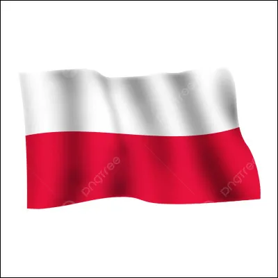 Which country does this flag belong to?
