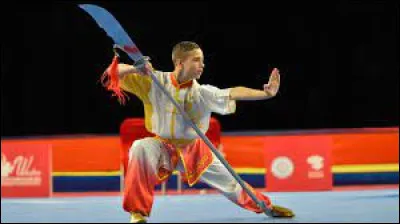 This word refers collectively to all Chinese martial arts, with no particular distinction of style or form.