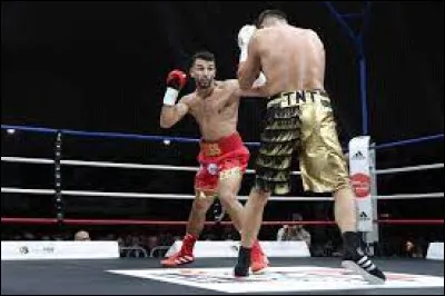 What is this weight category in combat sports?