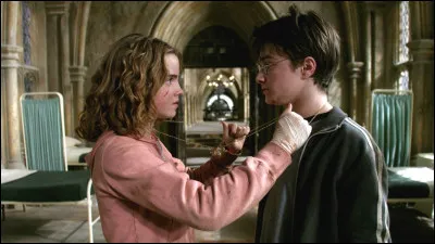How many times did Hermione turn the Time Reverser to save Buck?