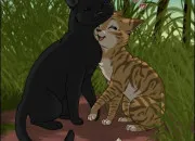 Quiz Les chats qui pourraient donner une vie à Plume de Jais