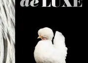 Quiz 13 mots commençant par G comme gallinacé
