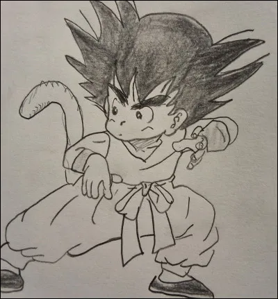 In Dragon Ball , what color is Son Goku's outfit?