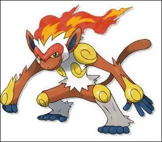 Which fighting pokemon uses its feet to fight?