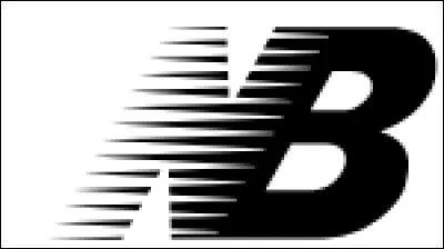 What is this brand of shoes?