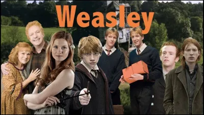 The Weasley family includes Arthur, Molly, Charlie, Bill, Fred, George, Ron, Ginny and...