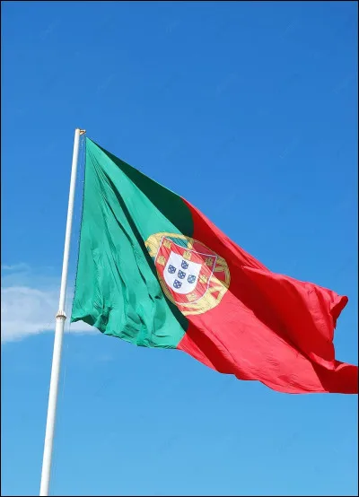 Which country does this flag belong to?