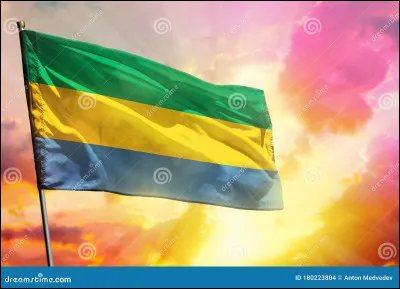 Which country does this flag belong to?