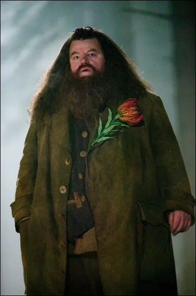 Who plays Rubeus Hagrid