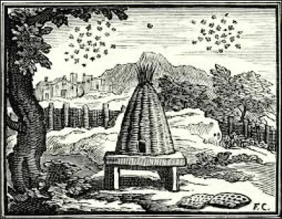 The and the Honey Flies.