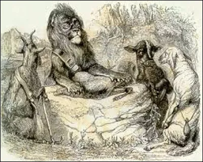 The , the Goat and the Sheep in company with the Lion.