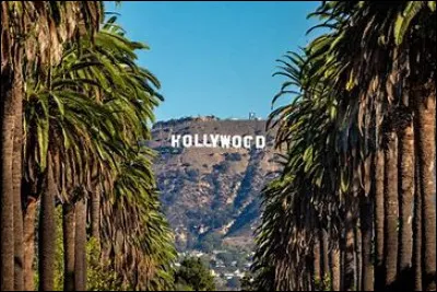 What is the city of Cinema there?