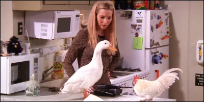 What does Chandler and Joey's chicken turn into?