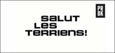 Who hosted Salut les Terriens!