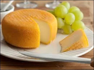 Which animal's milk is used to make Port-Salut?