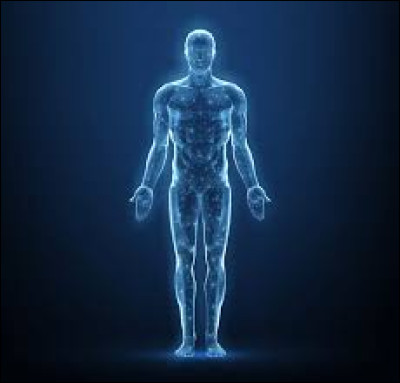 Sciences - Where is the deltoid located?