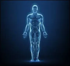 Sciences - Where is the deltoid located?
