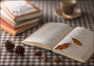 Complete the title of this novel by Gustave Flaubert: L'Education...