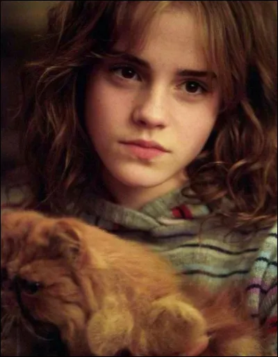 What's his pet's name?