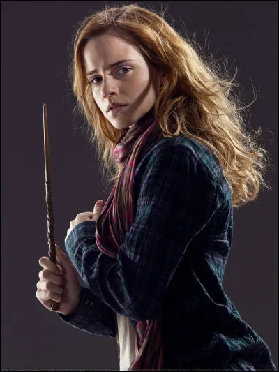 What is Hermione Granger's job after her Hogwarts education?
