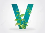 Quiz Autour des prénoms en V