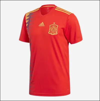 Which team does this jersey belong to?