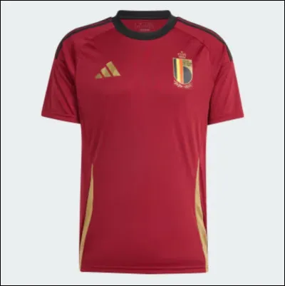 Which team does this jersey belong to?