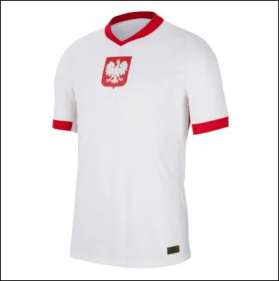 Which team does this jersey belong to?