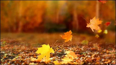 Who is the author of the poem entitled Automne malade?