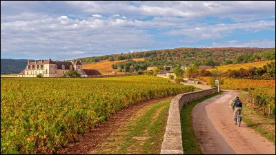 I have a wand made of vine wood :